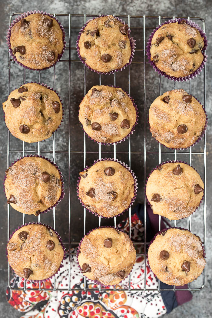 Chocolate Chip Greek Yogurt Muffins- a fun breakfast or snack for the kids, plus info on ways to get more Greek Yogurt into your child's diet! #glutenfree | 