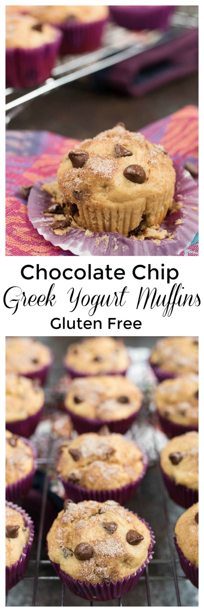 Chocolate Chip Greek Yogurt Muffins- a fun breakfast or snack for the kids, plus info on ways to get more Greek Yogurt into your child's diet! #glutenfree | 