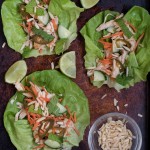 Sweet and Spicy Chicken Lettuce Wraps- low carb, high protein, super simple for a light dinner or appetizer night | 