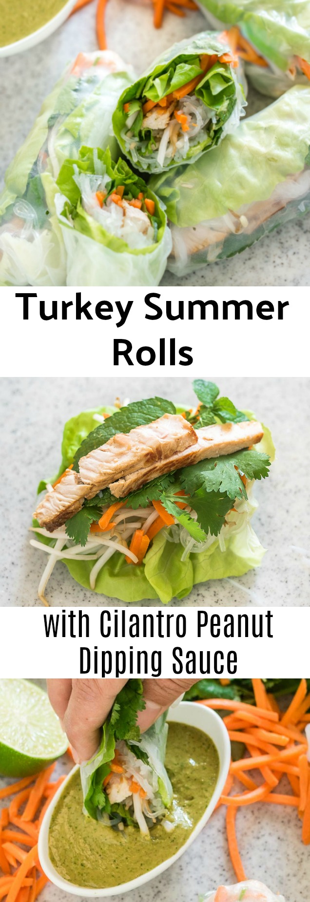 Turkey Summer Rolls with Cilantro Peanut Dipping Sauce are like a salad meets juicy grilled strips of turkey rolled up into one fresh and healthy roll.